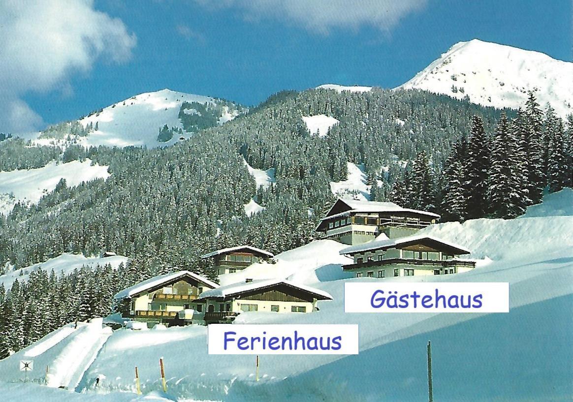 ミッテルベルク Ferienhaus Schwendleヴィラ エクステリア 写真